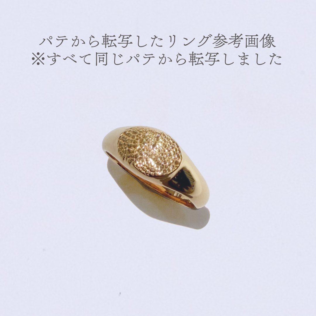 型取りシリコンパテ【鼻紋ジュエリー制作キットご購入者限定】