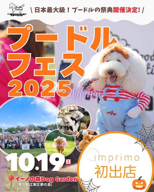🎃10/19 プードルフェスティバル 2025 HALLOWEEN🎃に出店！
