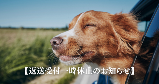 【返送受付一時休止のお知らせ】