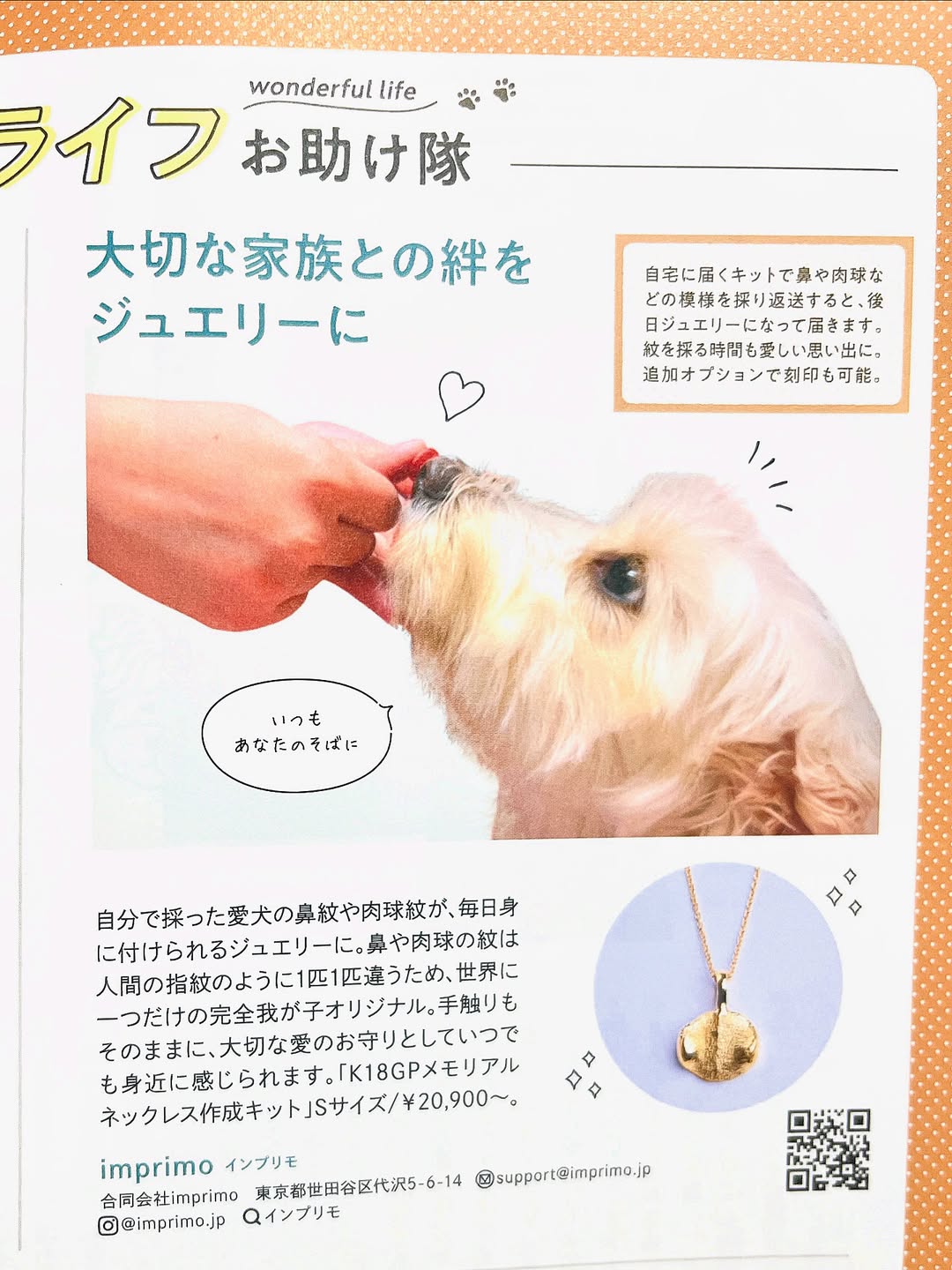 【いぬのきもち】11月号に掲載されました！