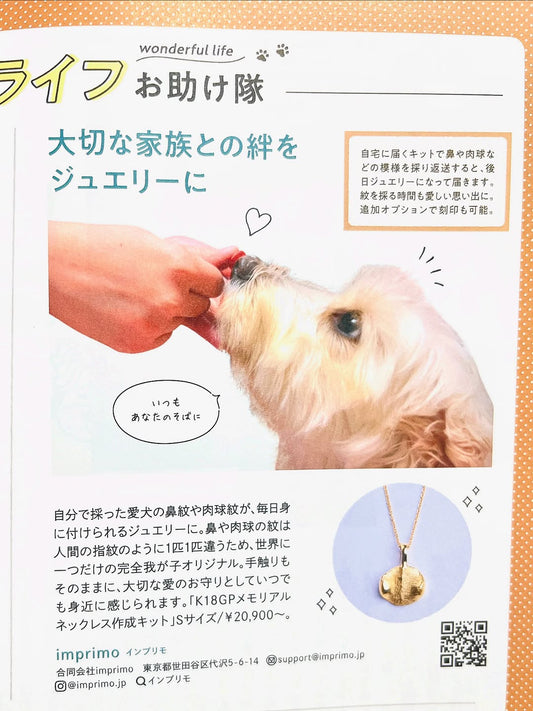 【いぬのきもち】11月号に掲載されました！