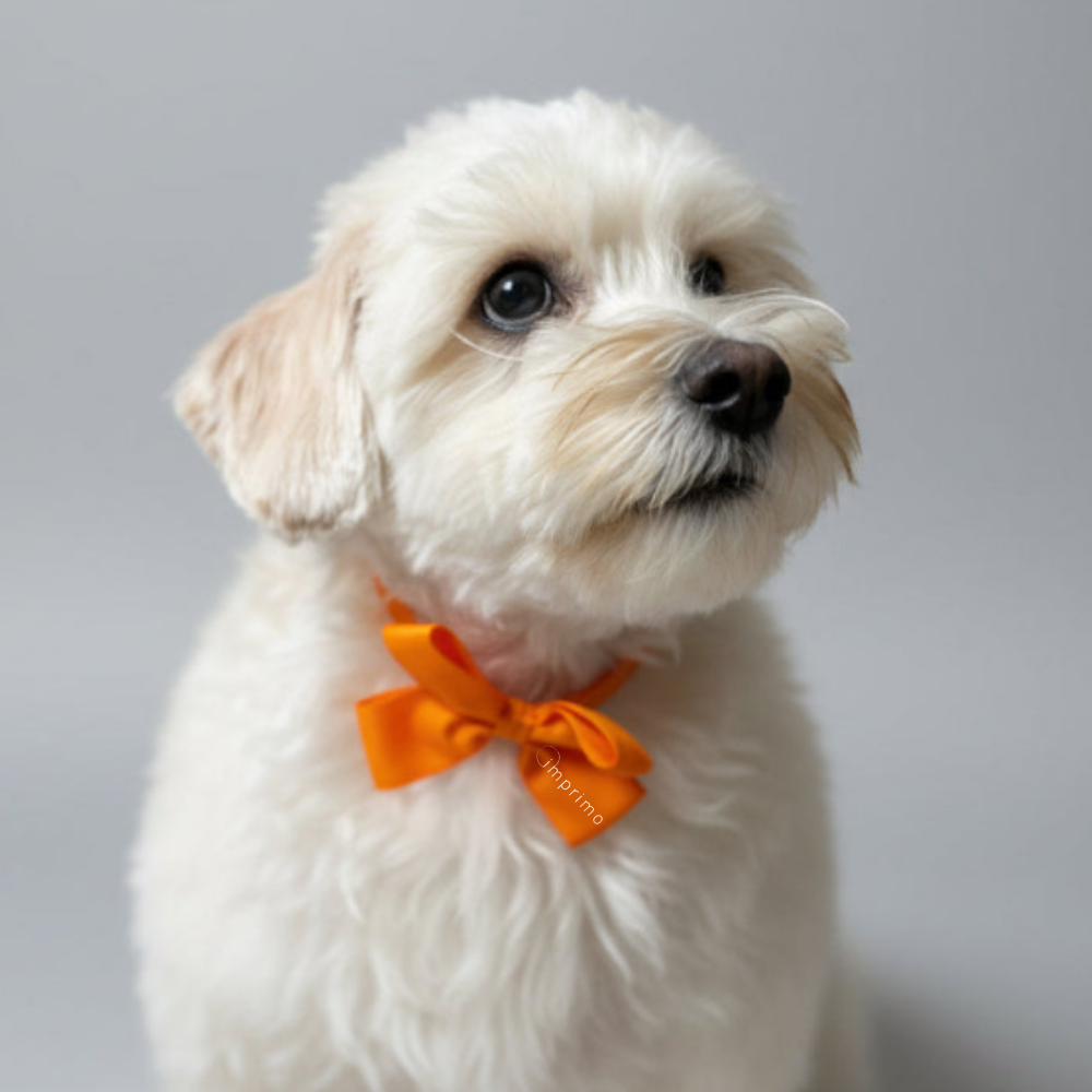 ギフトラッピング（キット発送時用）