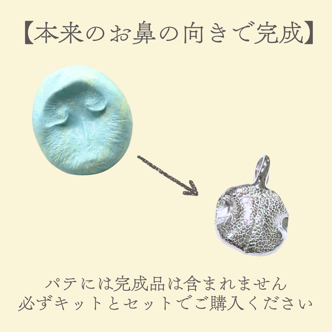 型取りシリコンパテ【鼻紋ジュエリー制作キットご購入者限定】